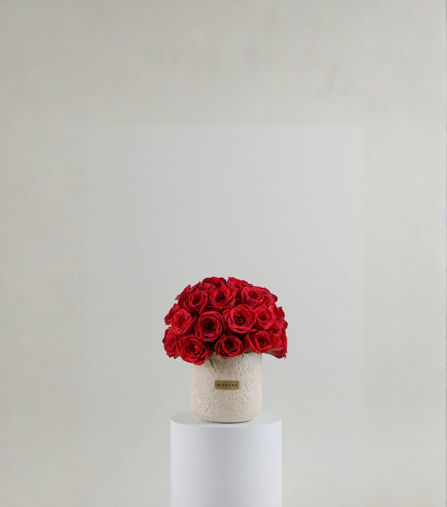 Side view of crimson red roses in porcelain dome — colour variant by Mireyaa