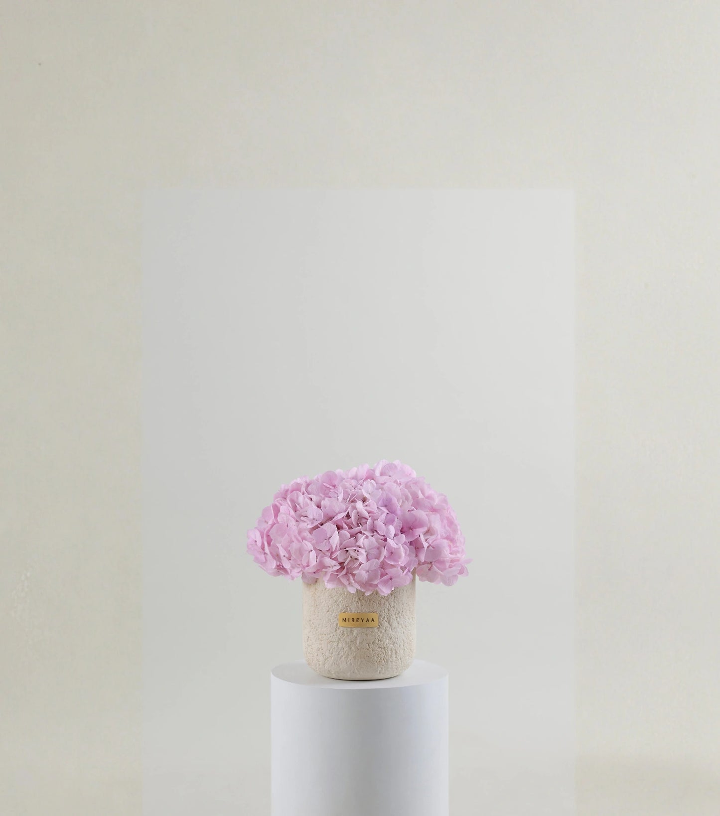 Front view of soft pink hydrangeas in a porcelain dome vessel — The Blush Hydrangea Porcelain Dome by Mireyaa, Mumbai same-day delivery