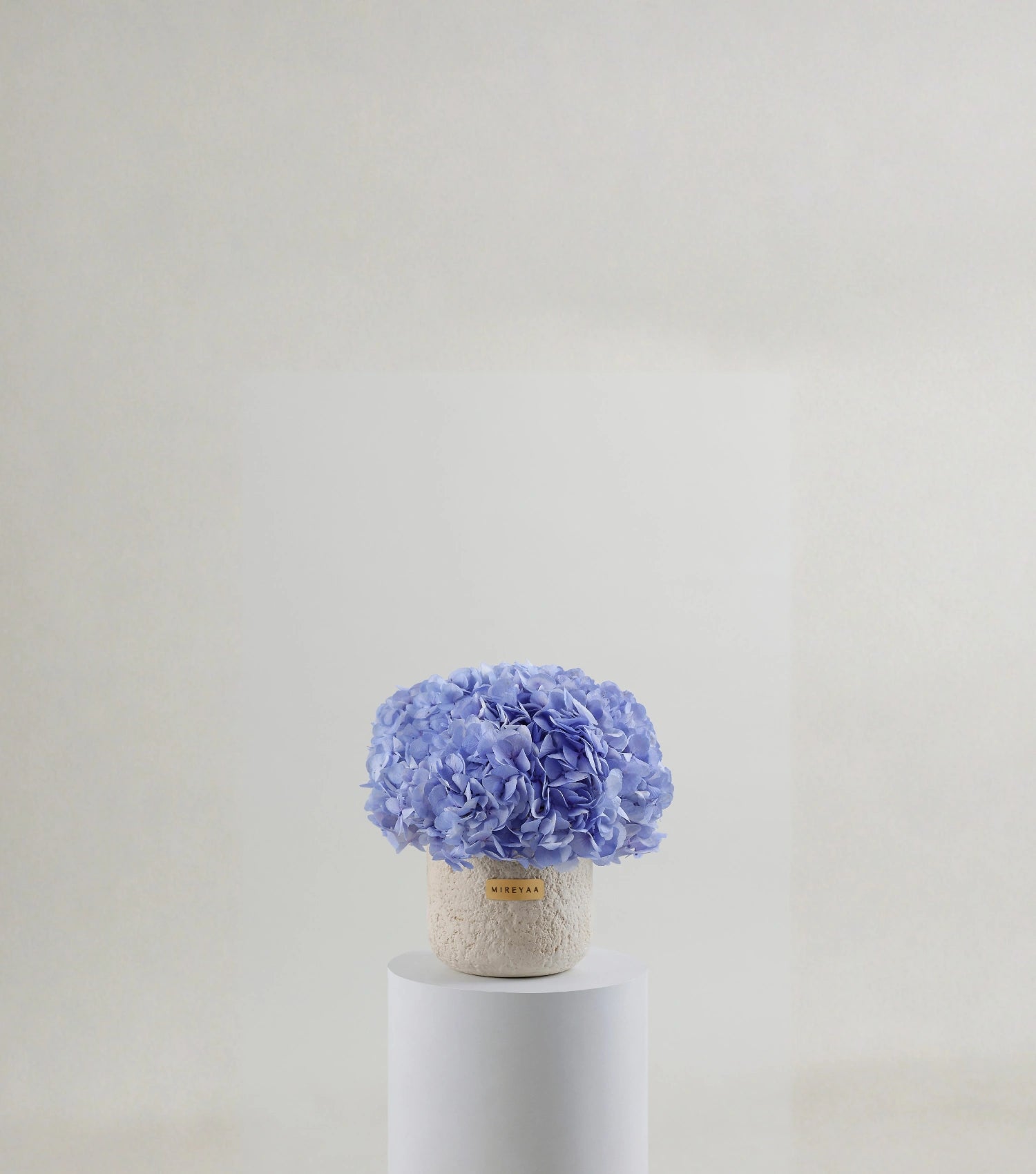 Front view of powder blue hydrangeas in a porcelain dome vessel — The Blue Hydrangea Porcelain Dome by Mireyaa, Mumbai same-day delivery