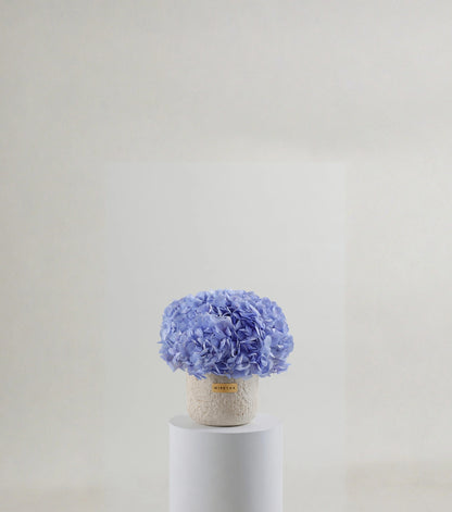 Front view of powder blue hydrangeas in a porcelain dome vessel — The Blue Hydrangea Porcelain Dome by Mireyaa, Mumbai same-day delivery
