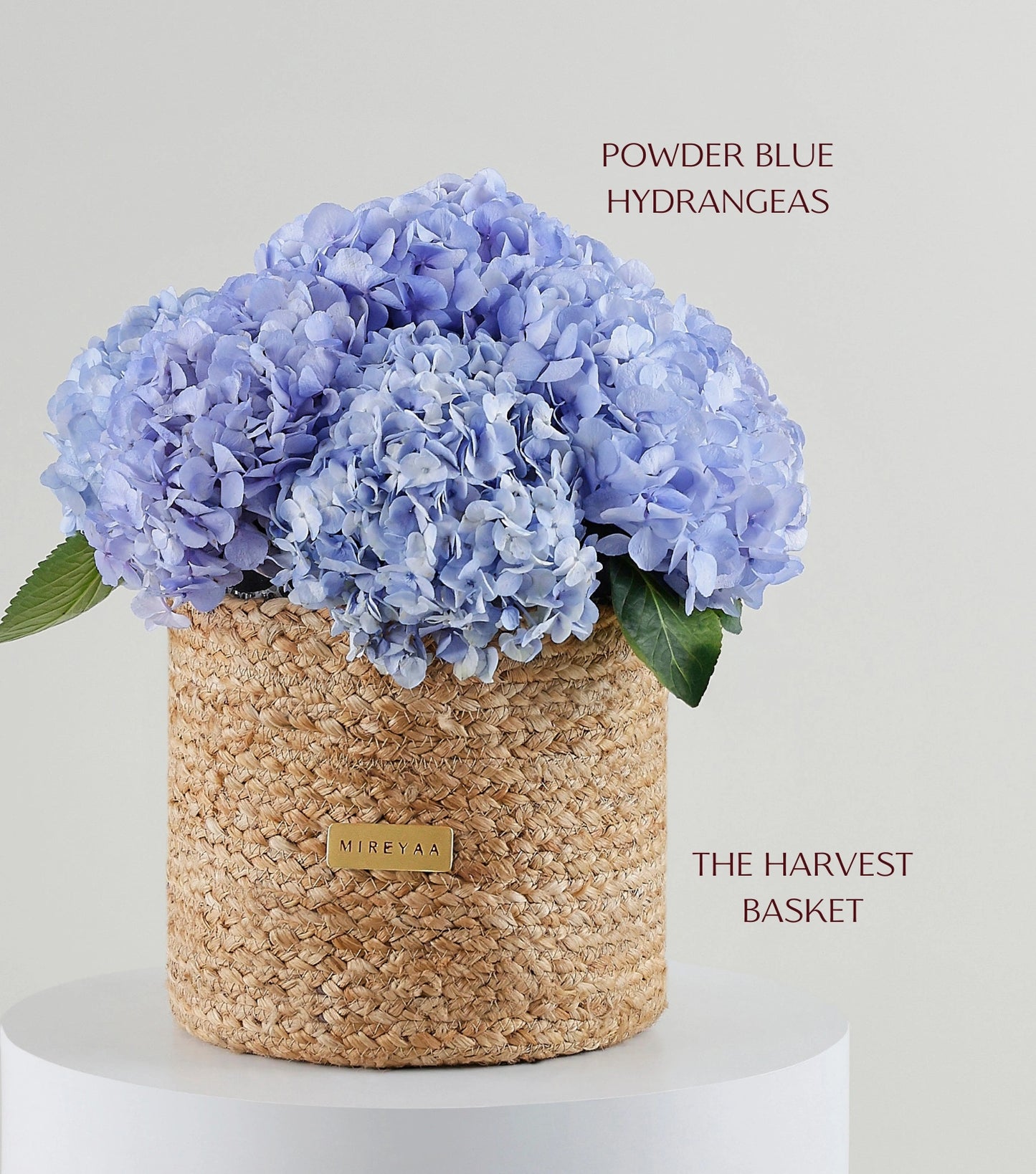 Powder blue hydrangea dome in a handwoven jute basket — The Blue Hydrangea Harvest Basket by Mireyaa