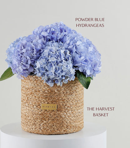 Powder blue hydrangea dome in a handwoven jute basket — The Blue Hydrangea Harvest Basket by Mireyaa