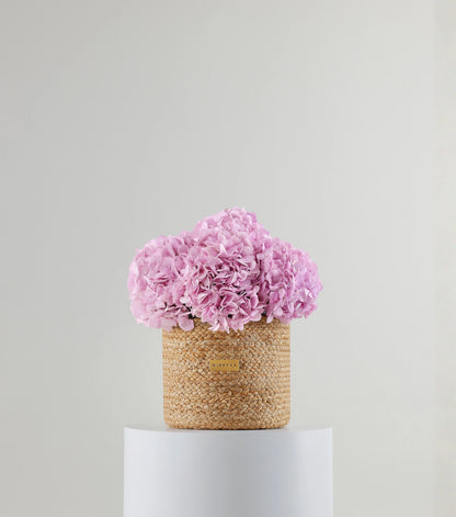 Front view of soft pink hydrangeas in a jute basket — variant of The Blue Hydrangea Harvest Basket by Mireyaa