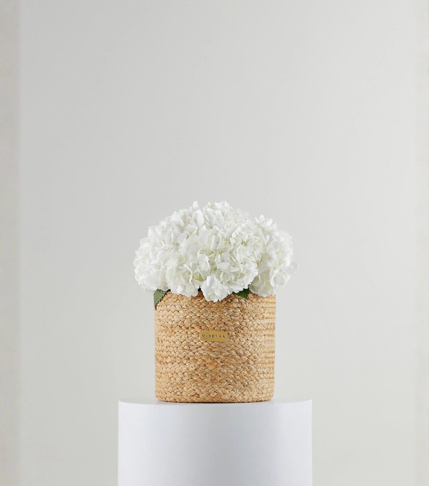 Front view of ivory white hydrangeas in a handwoven jute harvest basket — The White Hydrangea Harvest Basket by Mireyaa, Mumbai same-day delivery
