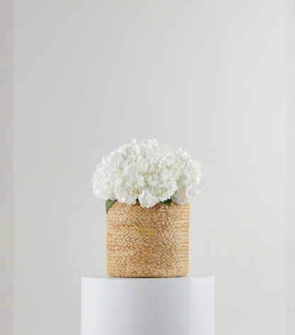 Front view of ivory white hydrangeas in a handwoven jute harvest basket — The White Hydrangea Harvest Basket by Mireyaa, Mumbai same-day delivery