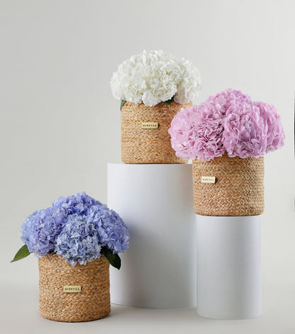 Ivory white hydrangeas in a jute harvest basket — colour variant of The Blue Hydrangea Harvest Basket by Mireyaa