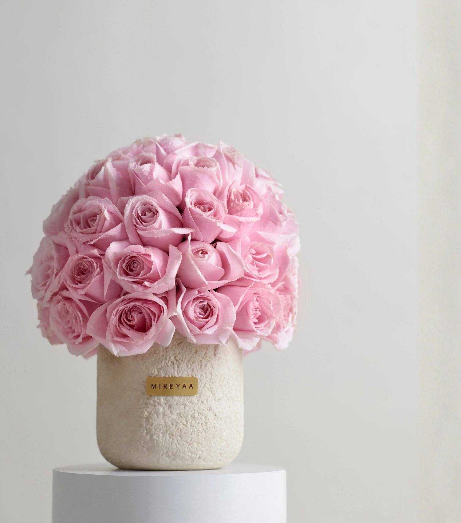 Detail of soft pink roses in a porcelain dome — colour variant by Mireyaa