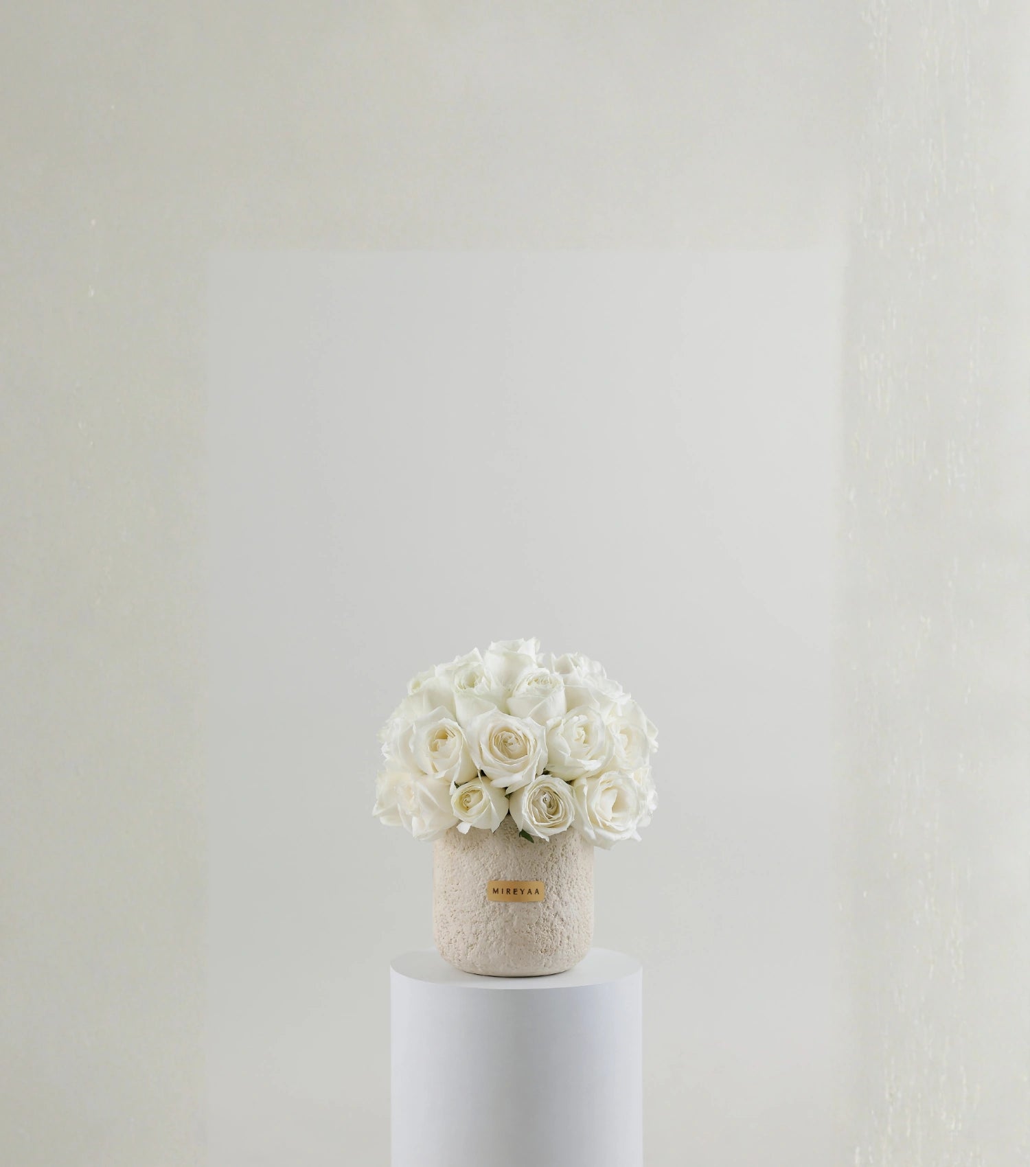 Close-up of ivory white rose dome in porcelain — The Ivory Porcelain Dome by Mireyaa