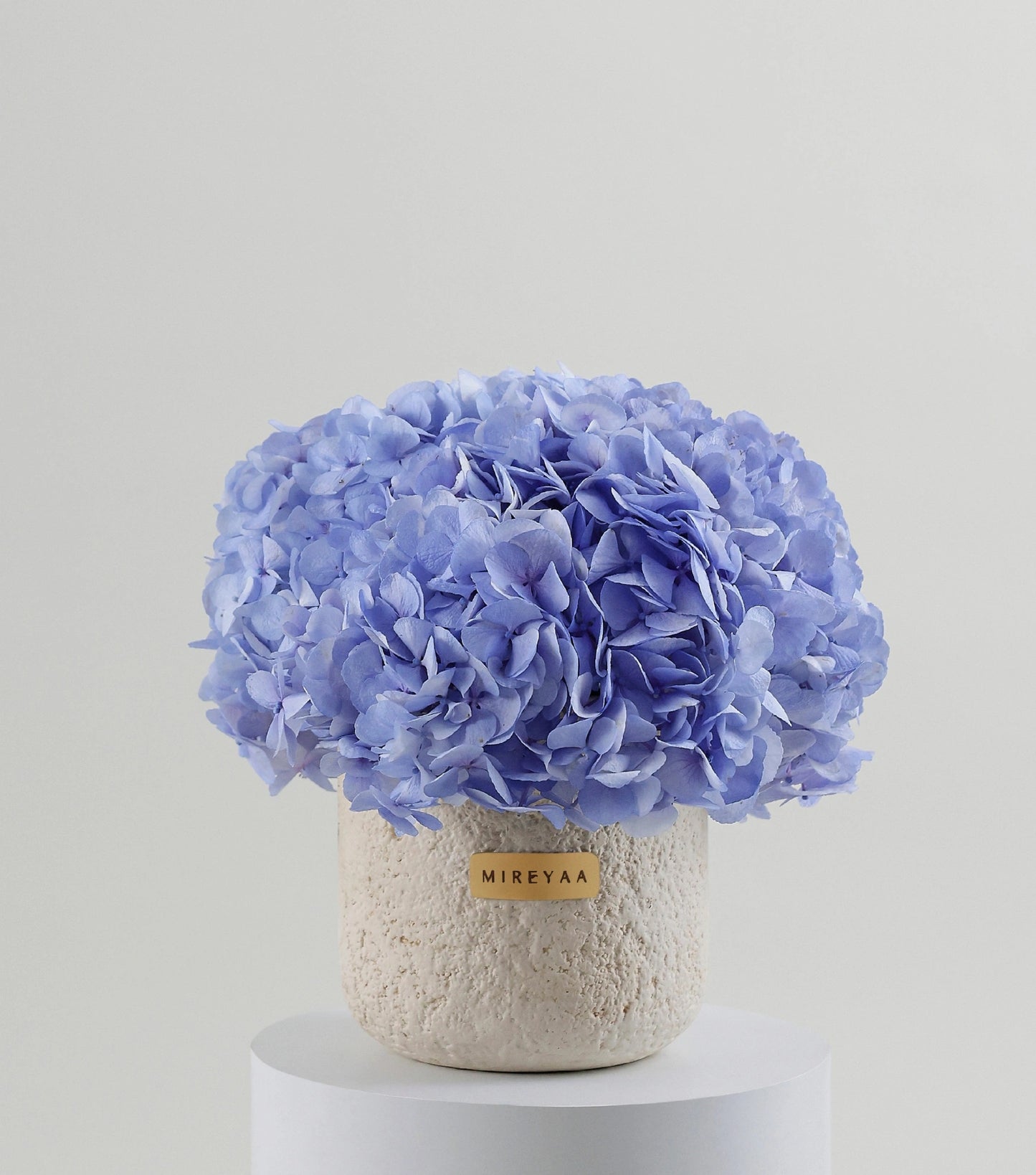 Close-up of powder blue hydrangeas in a porcelain dome vessel — The Blue Hydrangea Porcelain Dome by Mireyaa, Mumbai same-day delivery