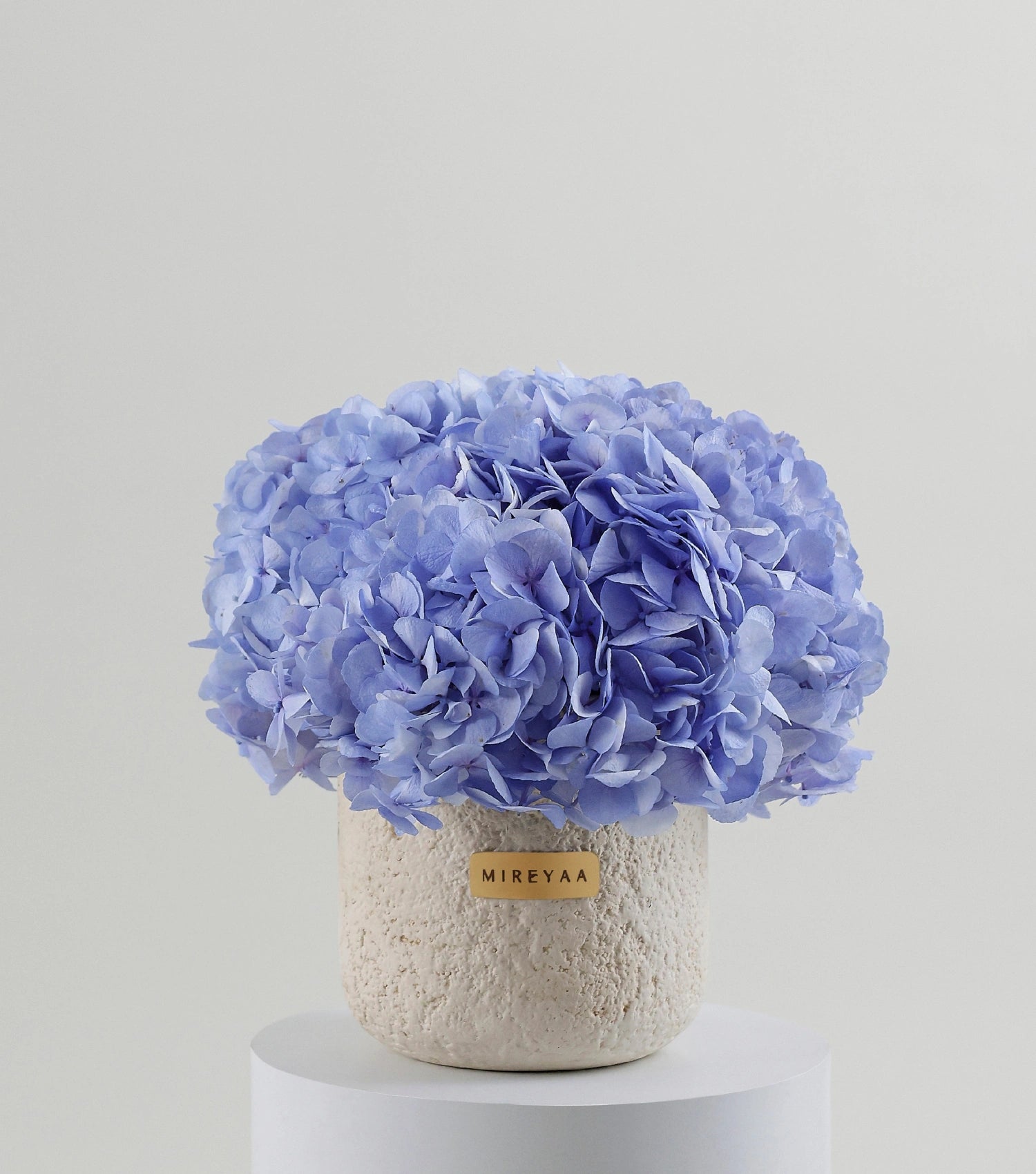 Close-up of powder blue hydrangeas in a porcelain dome vessel — The Blue Hydrangea Porcelain Dome by Mireyaa, Mumbai same-day delivery