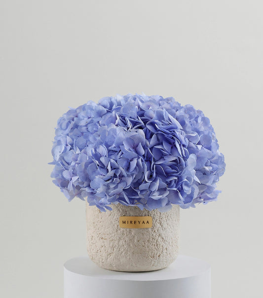 The Blue Hydrangea Porcelain Dome