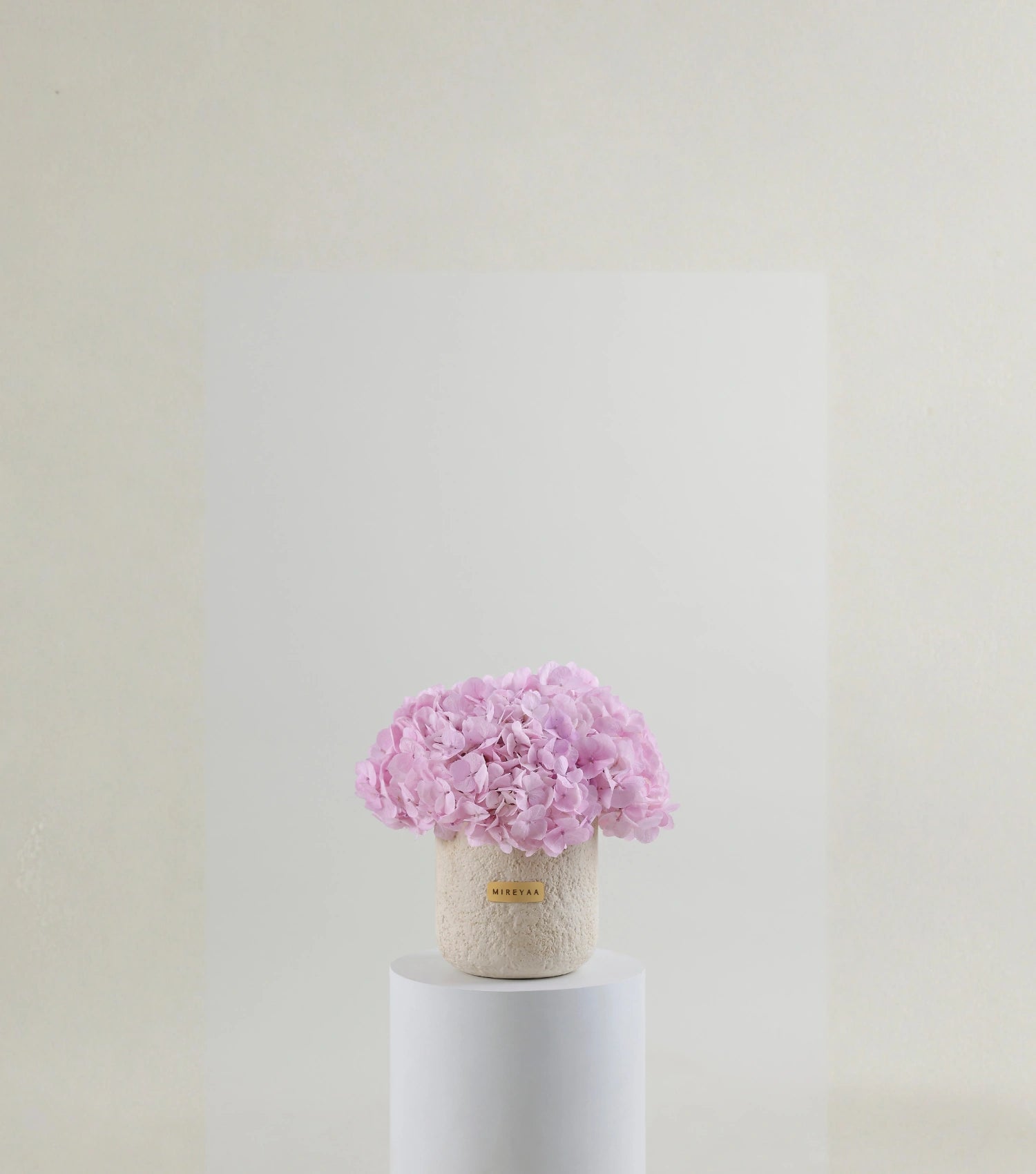 Front view of soft pink hydrangeas in a porcelain dome vessel — The Blush Hydrangea Porcelain Dome by Mireyaa, Mumbai same-day delivery
