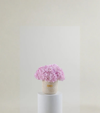 Front view of soft pink hydrangeas in a porcelain dome vessel — The Blush Hydrangea Porcelain Dome by Mireyaa, Mumbai same-day delivery