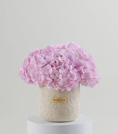 Close-up of soft pink hydrangeas in a porcelain dome vessel — The Blush Hydrangea Porcelain Dome by Mireyaa, Mumbai same-day delivery