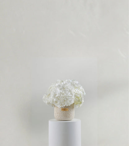 Front view of ivory white hydrangeas in a porcelain dome vessel — The Ivory Hydrangea Porcelain Dome by Mireyaa, Mumbai same-day delivery