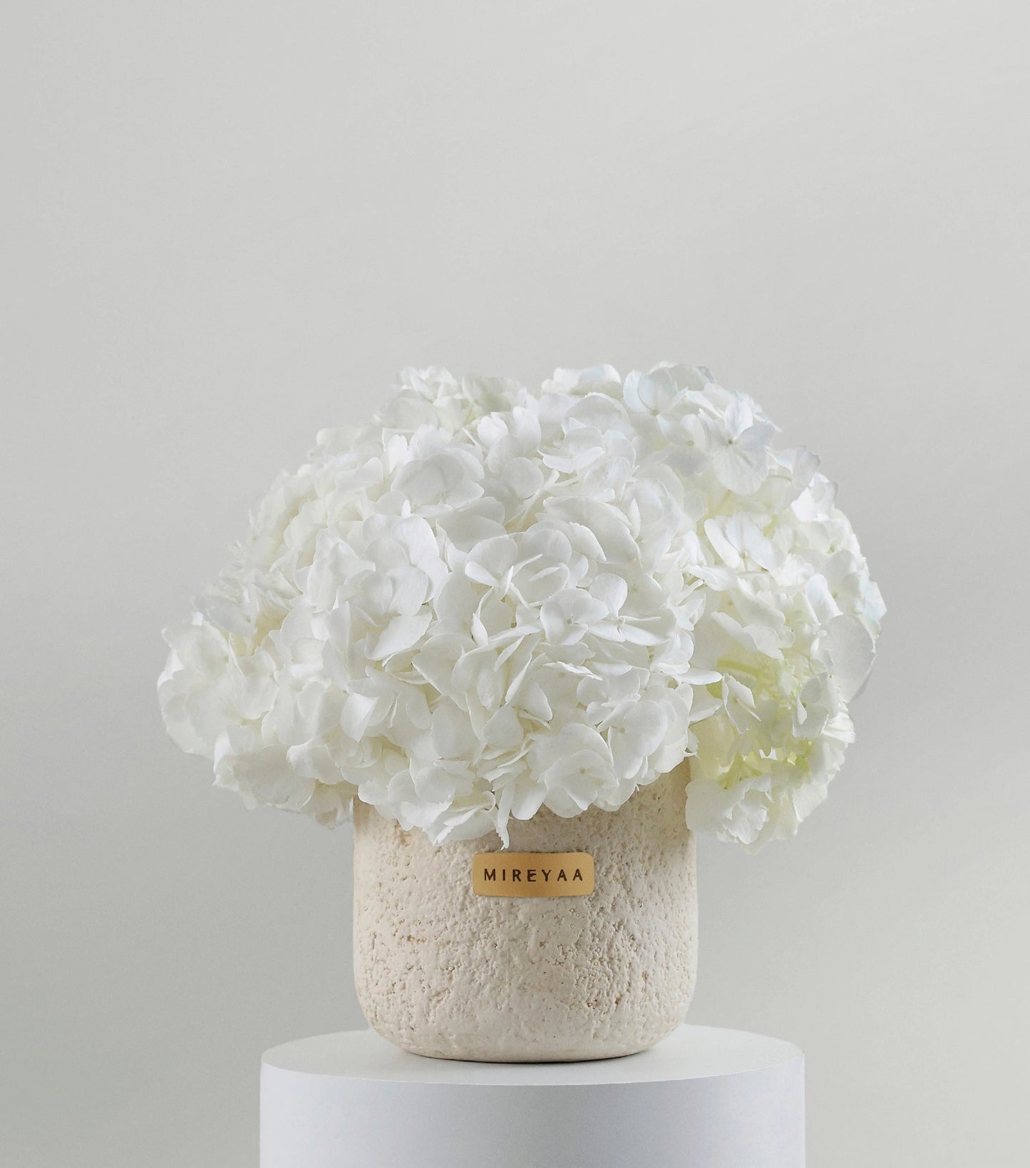 Close-up of ivory white hydrangeas in a porcelain dome vessel — The Ivory Hydrangea Porcelain Dome by Mireyaa, Mumbai same-day delivery