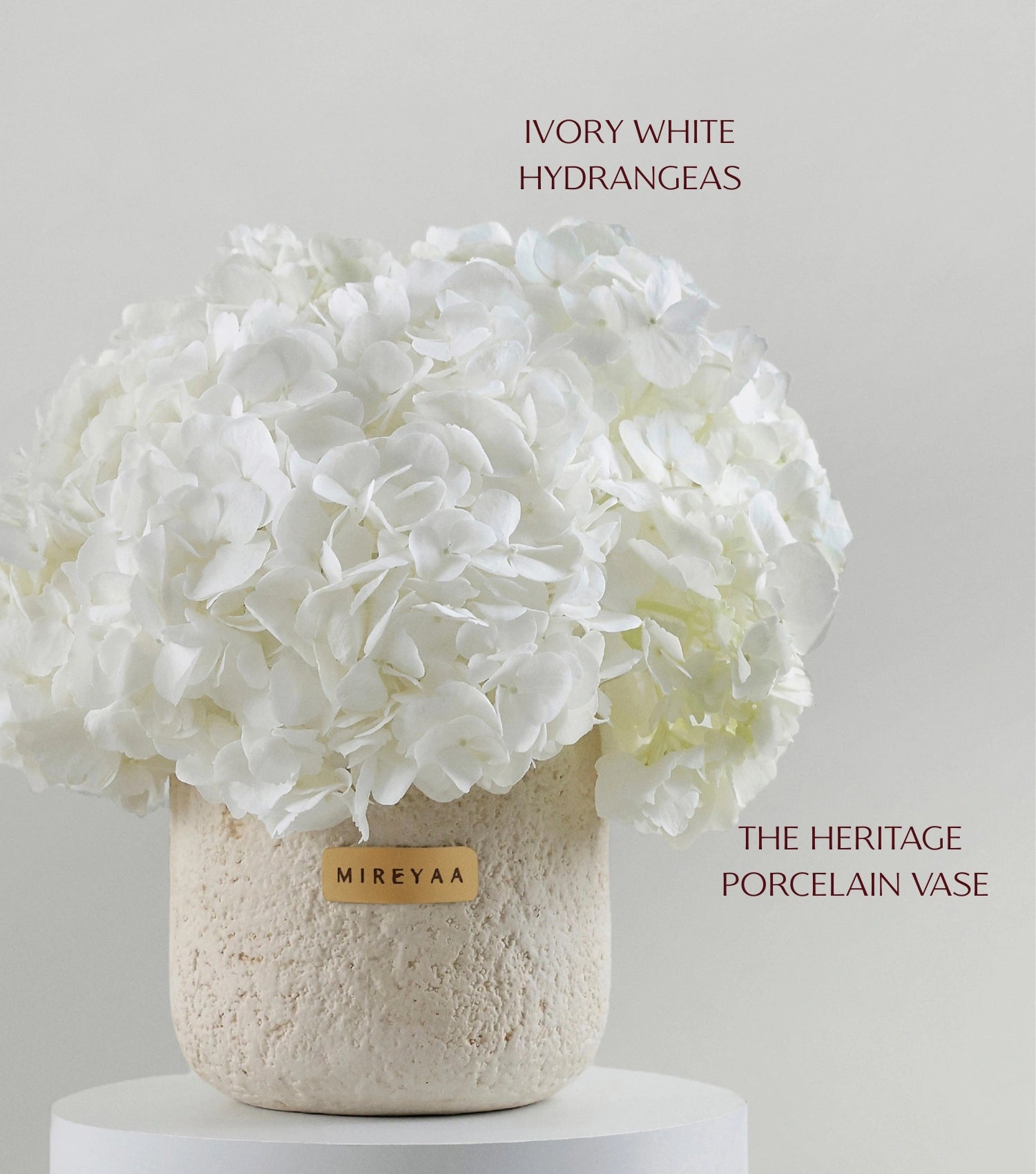 Side view of ivory white hydrangeas in a porcelain dome vessel — The Ivory Hydrangea Porcelain Dome by Mireyaa, Mumbai same-day delivery