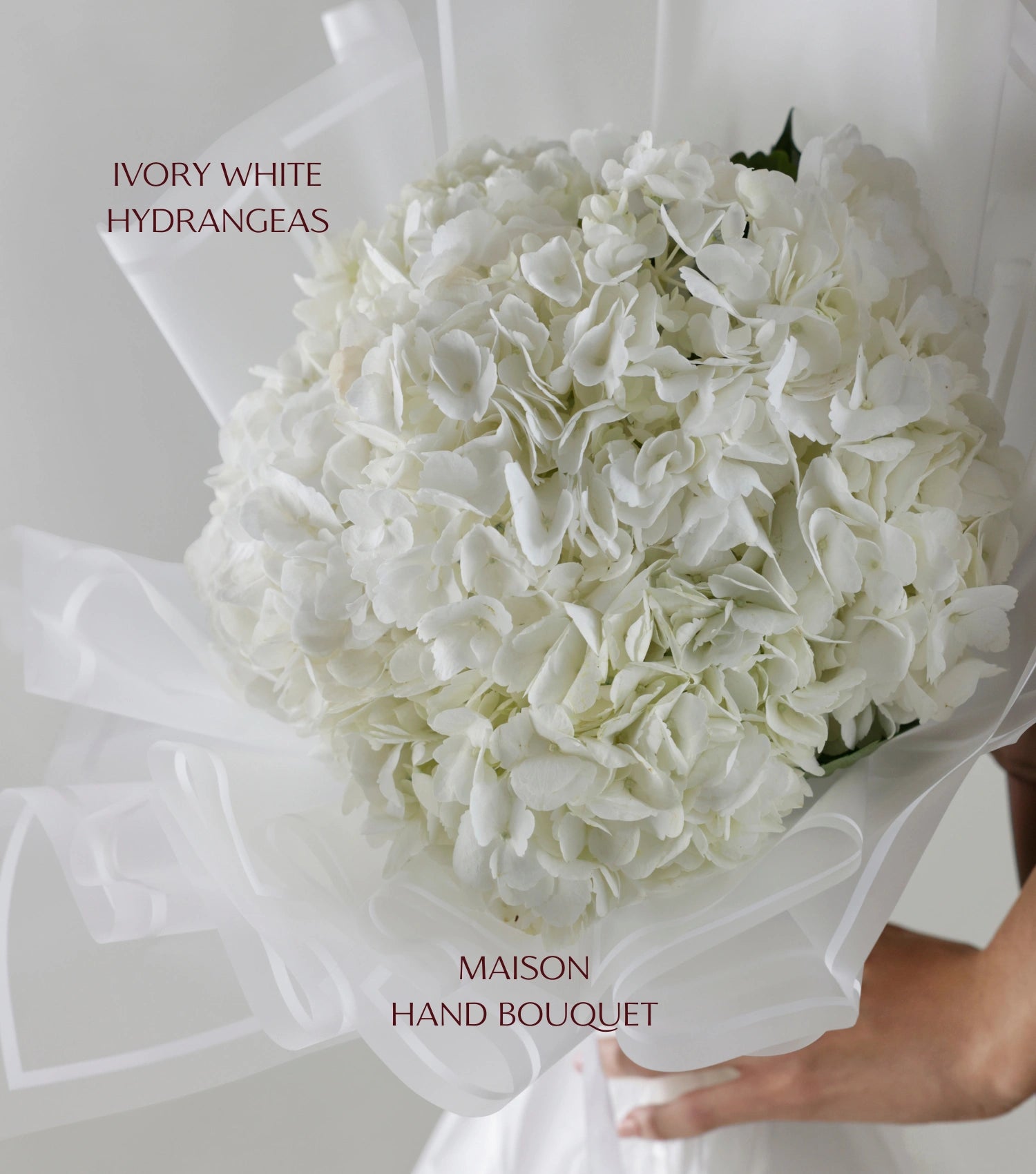 Close-up of ivory white hydrangeas hand-tied luxury bouquet — The Ivory Hydrangea Bouquet by Mireyaa, Mumbai same-day delivery